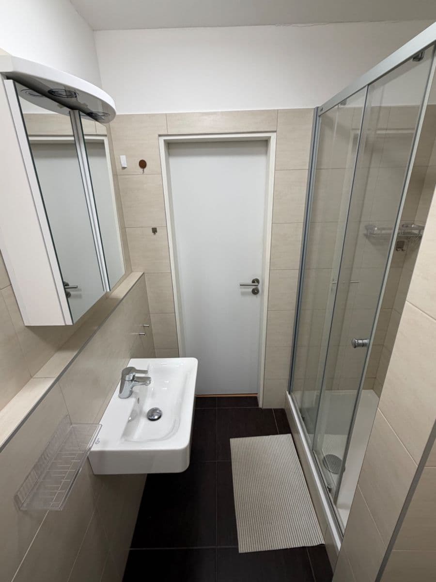 2 bedroom flat to rent, 45 m², Dreyerova, Prague, Prague 2 bedroom flat to rent, 45 m², Dreyerova, Prague, Prague