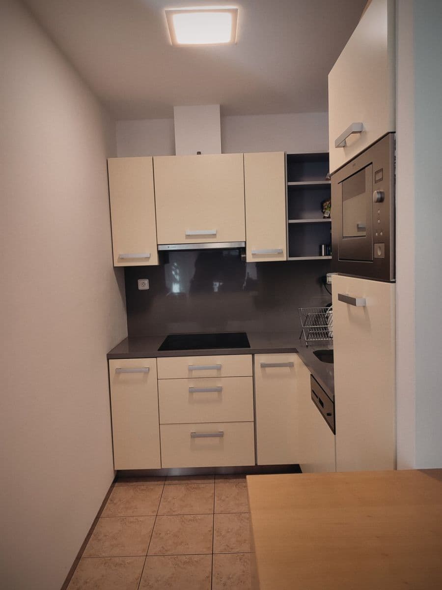 1 bedroom with open-plan kitchen flat to rent, 70 m², Paťanka, Prague, Prague 1 bedroom with open-plan kitchen flat to rent, 70 m², Paťanka, Prague, Prague