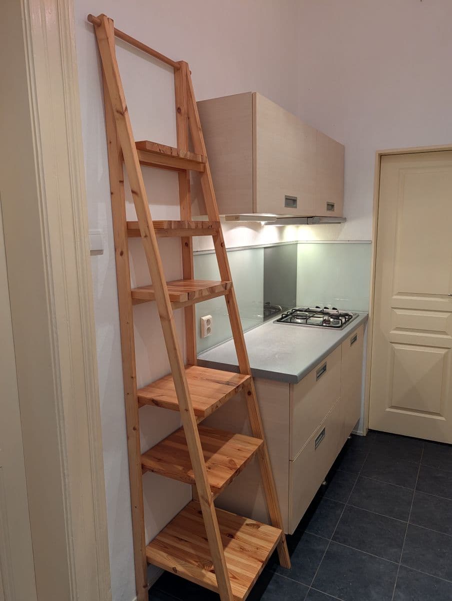 1 bedroom with open-plan kitchen flat to rent, 58 m², Pod Karlovem, Prague, Prague 1 bedroom with open-plan kitchen flat to rent, 58 m², Pod Karlovem, Prague, Prague