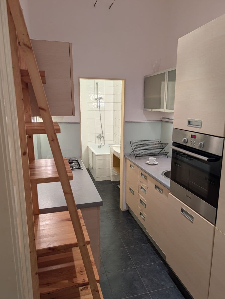 1 bedroom with open-plan kitchen flat to rent, 58 m², Pod Karlovem, Prague, Prague 1 bedroom with open-plan kitchen flat to rent, 58 m², Pod Karlovem, Prague, Prague