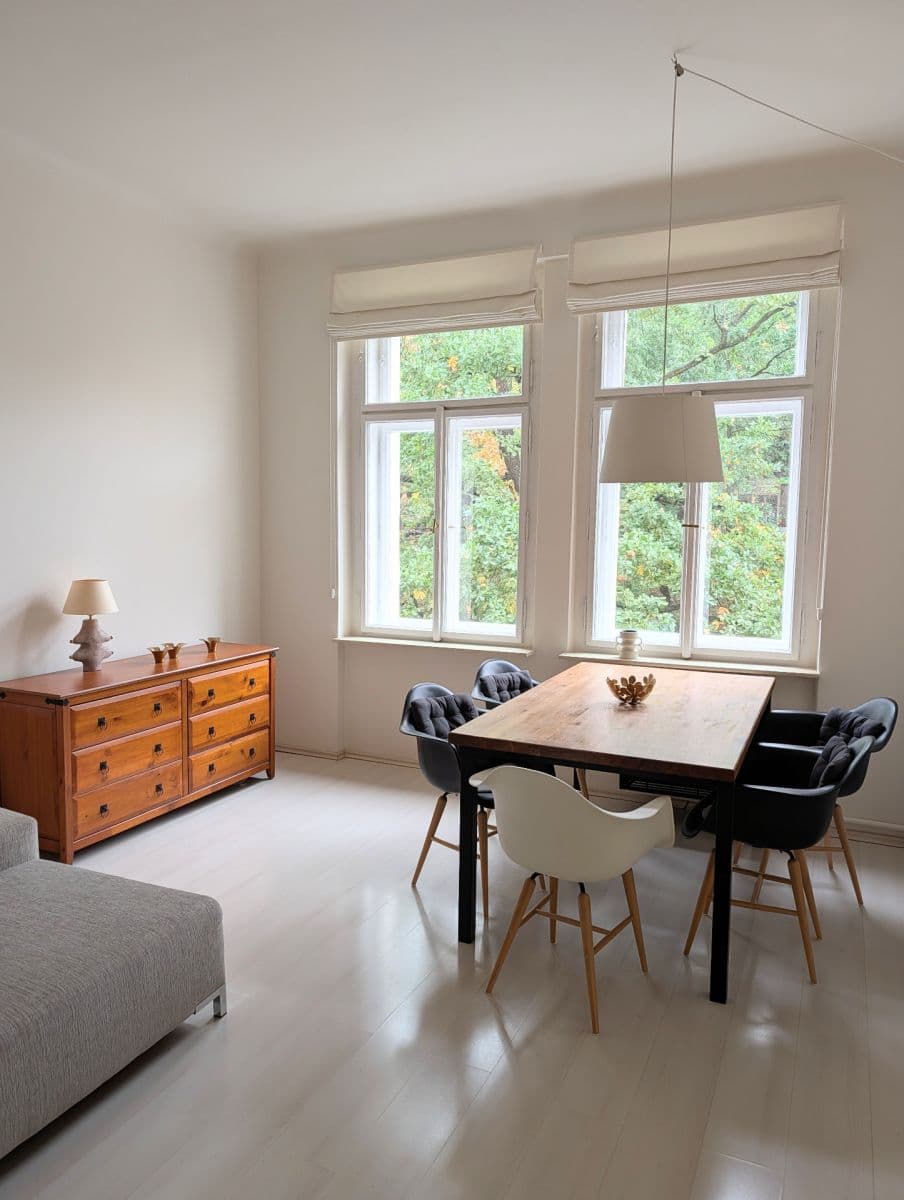 1 bedroom with open-plan kitchen flat to rent, 58 m², Pod Karlovem, Prague, Prague 1 bedroom with open-plan kitchen flat to rent, 58 m², Pod Karlovem, Prague, Prague