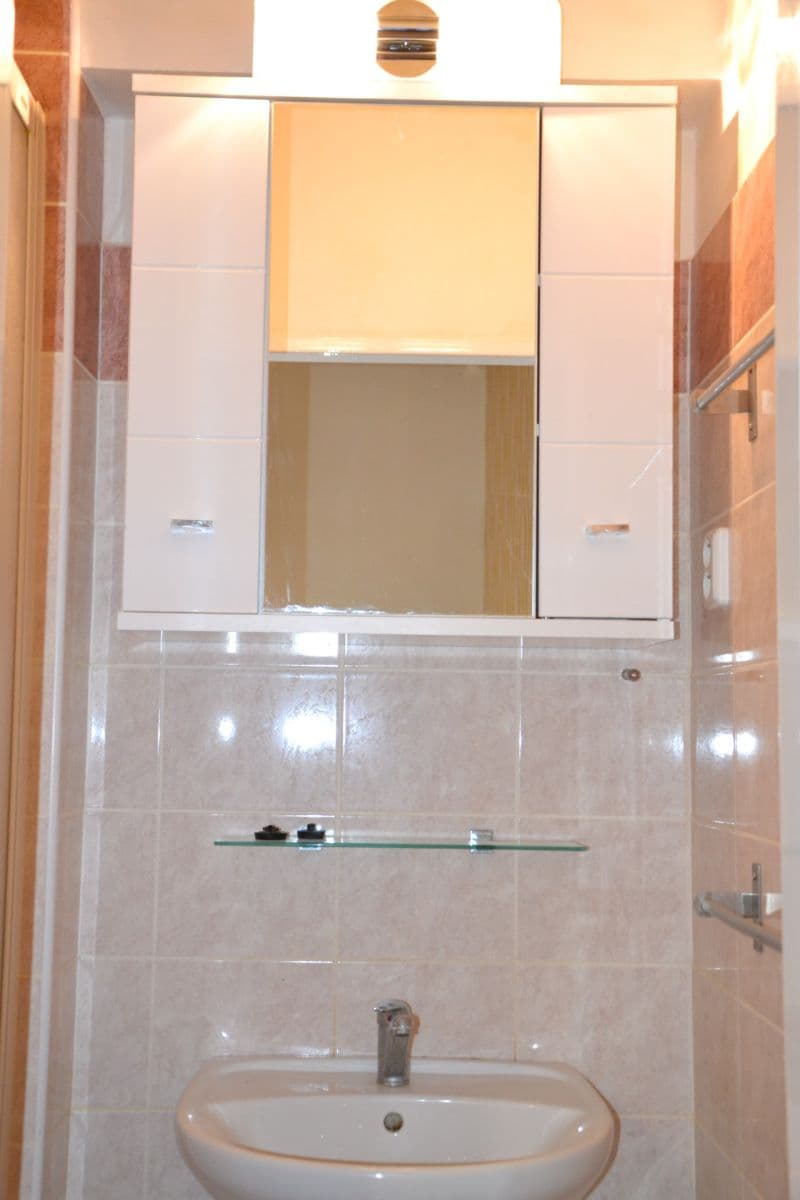 1 bedroom with open-plan kitchen flat to rent, 44 m², Chelčického, Prague, Prague 1 bedroom with open-plan kitchen flat to rent, 44 m², Chelčického, Prague, Prague