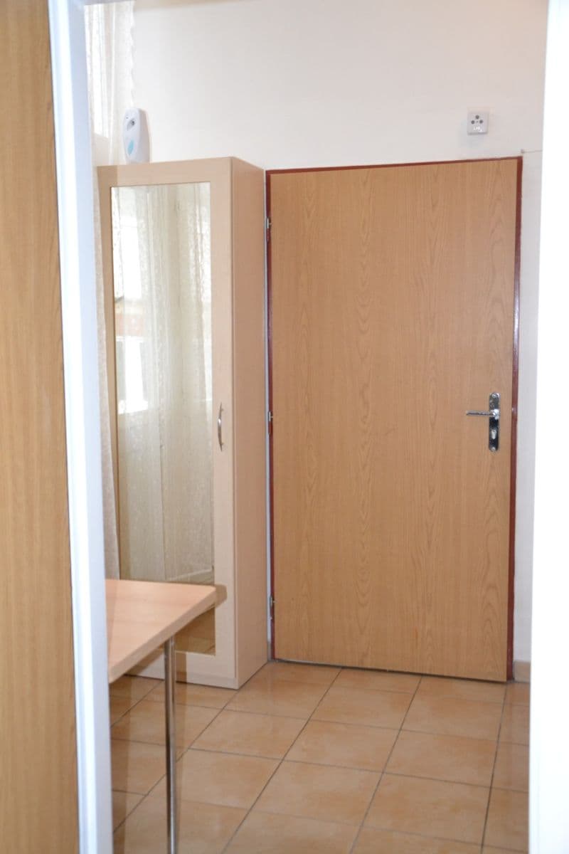 1 bedroom with open-plan kitchen flat to rent, 44 m², Chelčického, Prague, Prague 1 bedroom with open-plan kitchen flat to rent, 44 m², Chelčického, Prague, Prague