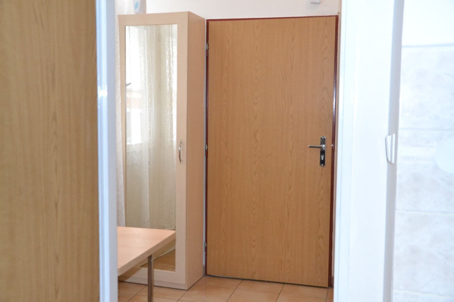 1 bedroom with open-plan kitchen flat to rent, 44 m², Chelčického, Prague, Prague 1 bedroom with open-plan kitchen flat to rent, 44 m², Chelčického, Prague, Prague