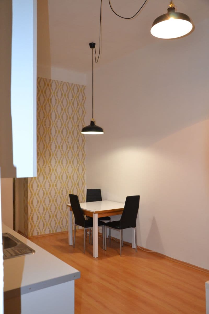 1 bedroom with open-plan kitchen flat to rent, 44 m², Chelčického, Prague, Prague 1 bedroom with open-plan kitchen flat to rent, 44 m², Chelčického, Prague, Prague