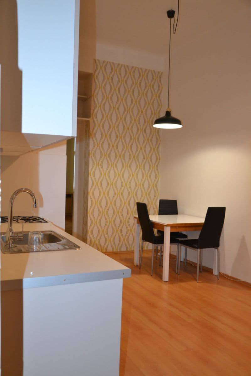 1 bedroom with open-plan kitchen flat to rent, 44 m², Chelčického, Prague, Prague 1 bedroom with open-plan kitchen flat to rent, 44 m², Chelčického, Prague, Prague