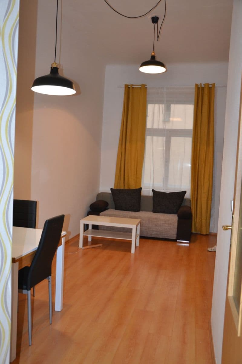 1 bedroom with open-plan kitchen flat to rent, 44 m², Chelčického, Prague, Prague 1 bedroom with open-plan kitchen flat to rent, 44 m², Chelčického, Prague, Prague