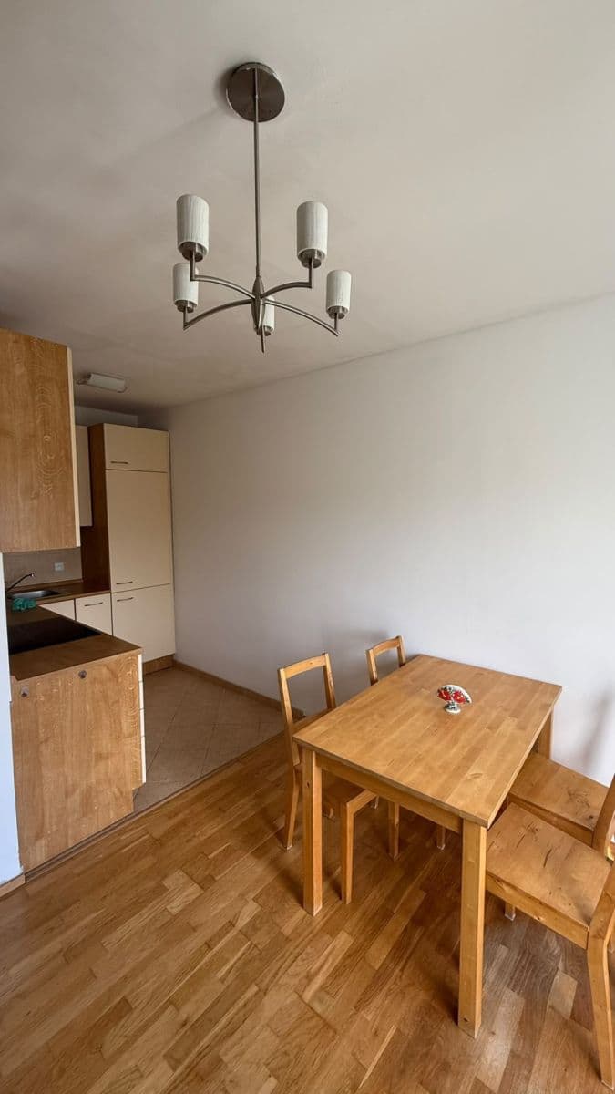 1 bedroom with open-plan kitchen flat to rent, 46 m², Nad Údolím, Husinec, Středočeský Region 1 bedroom with open-plan kitchen flat to rent, 46 m², Nad Údolím, Husinec, Středočeský Region
