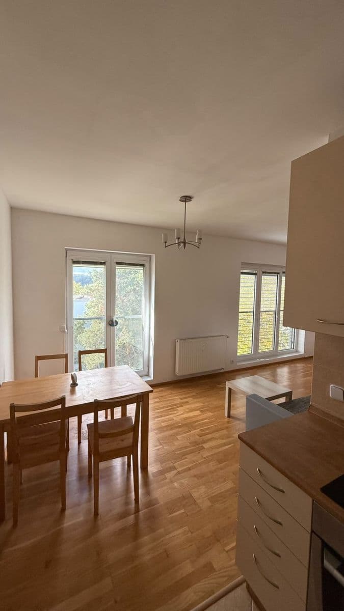 1 bedroom with open-plan kitchen flat to rent, 46 m², Nad Údolím, Husinec, Středočeský Region 1 bedroom with open-plan kitchen flat to rent, 46 m², Nad Údolím, Husinec, Středočeský Region