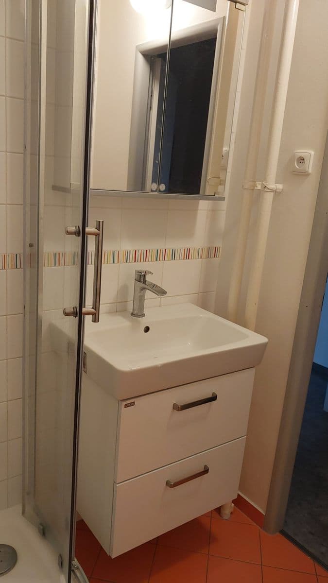 3 bedroom with open-plan kitchen flat to rent, 78 m², Svojšovická, Prague, Prague 3 bedroom with open-plan kitchen flat to rent, 78 m², Svojšovická, Prague, Prague