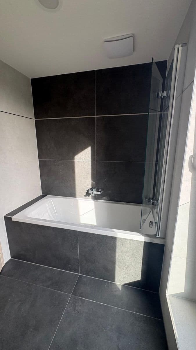 1 bedroom with open-plan kitchen flat to rent, 62 m², Dolnobranská, Prague, Prague 1 bedroom with open-plan kitchen flat to rent, 62 m², Dolnobranská, Prague, Prague