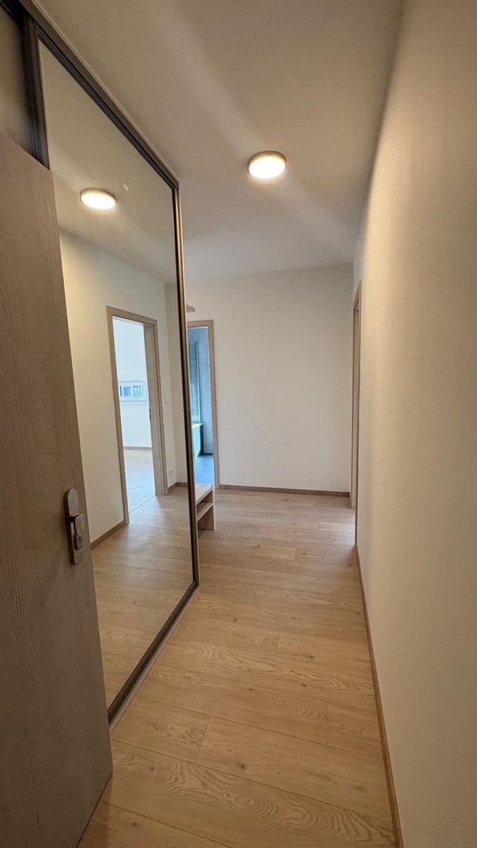 1 bedroom with open-plan kitchen flat to rent, 62 m², Dolnobranská, Prague, Prague 1 bedroom with open-plan kitchen flat to rent, 62 m², Dolnobranská, Prague, Prague