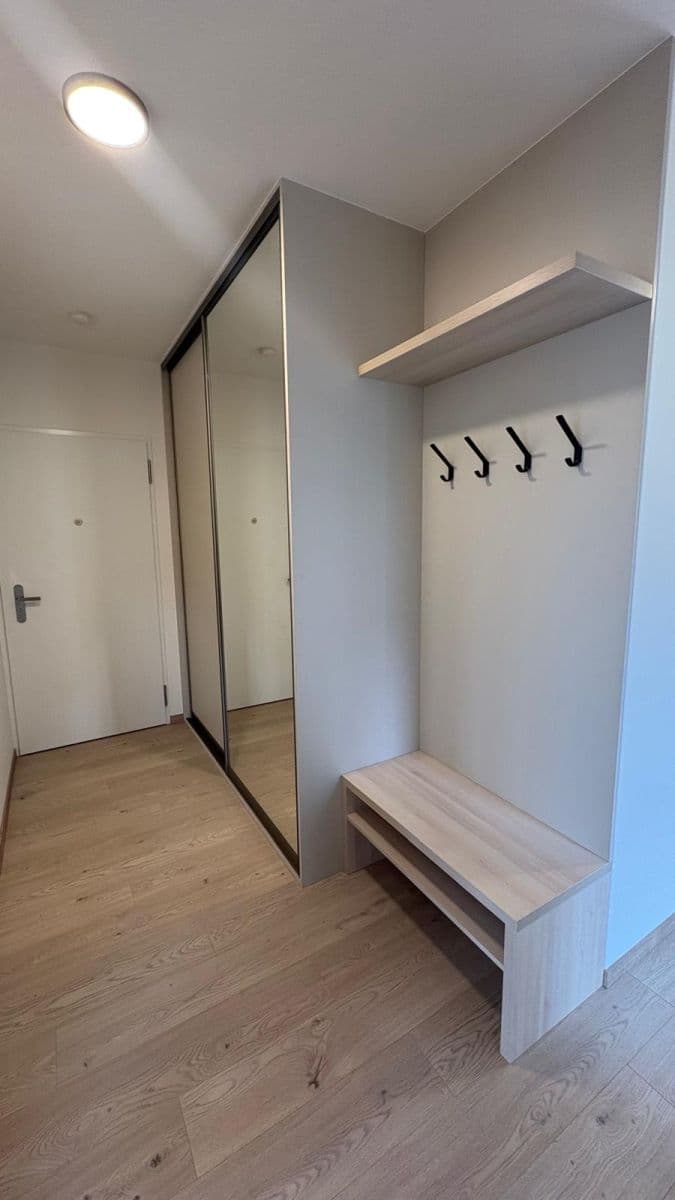 1 bedroom with open-plan kitchen flat to rent, 62 m², Dolnobranská, Prague, Prague 1 bedroom with open-plan kitchen flat to rent, 62 m², Dolnobranská, Prague, Prague