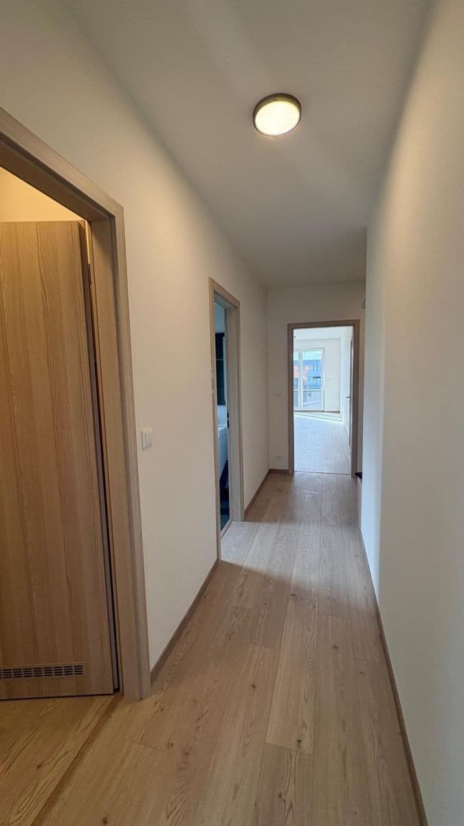1 bedroom with open-plan kitchen flat to rent, 62 m², Dolnobranská, Prague, Prague 1 bedroom with open-plan kitchen flat to rent, 62 m², Dolnobranská, Prague, Prague