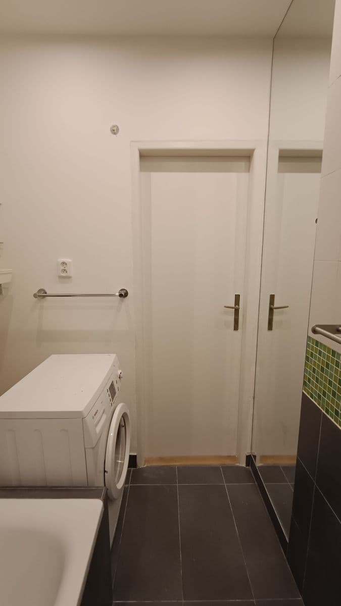 1 bedroom with open-plan kitchen flat to rent, 52 m², Zelená, Prague, Prague 1 bedroom with open-plan kitchen flat to rent, 52 m², Zelená, Prague, Prague