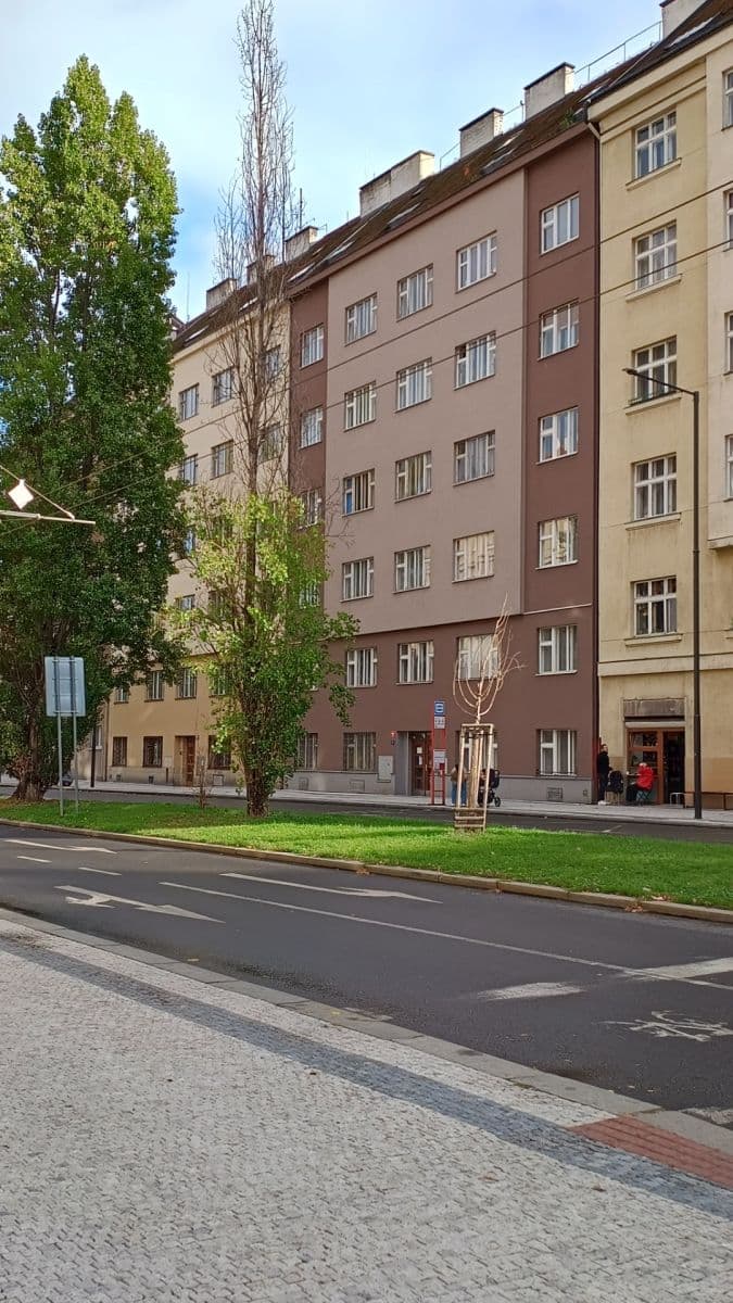 1 bedroom with open-plan kitchen flat to rent, 52 m², Zelená, Prague, Prague 1 bedroom with open-plan kitchen flat to rent, 52 m², Zelená, Prague, Prague