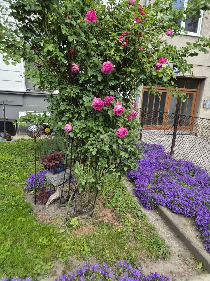 3 bedroom flat for sale, 46 m², Stuwerviertel, Wien, Vienna 3 bedroom flat for sale, 46 m², Stuwerviertel, Wien, Vienna
