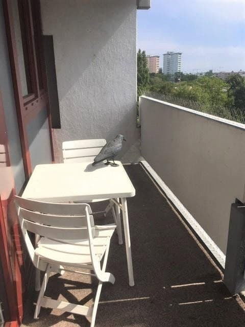2 bedroom flat to rent, 67 m², München, Bavaria 2 bedroom flat to rent, 67 m², München, Bavaria