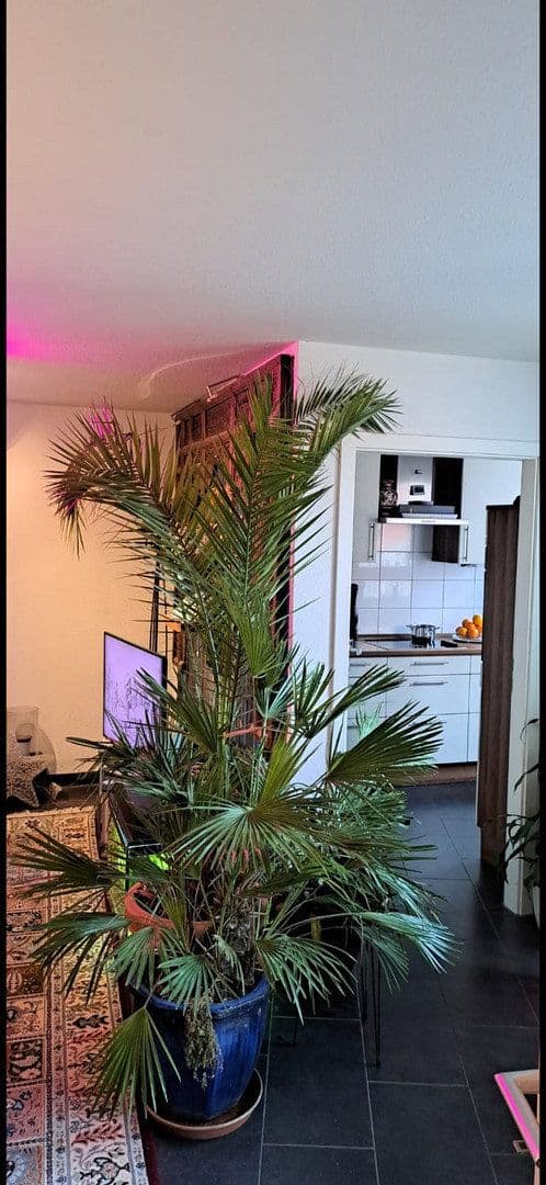 2 bedroom flat to rent, 59 m², Goezstraße 3, Stuttgart-Plieningen, Baden-Württemberg 2 bedroom flat to rent, 59 m², Goezstraße 3, Stuttgart-Plieningen, Baden-Württemberg
