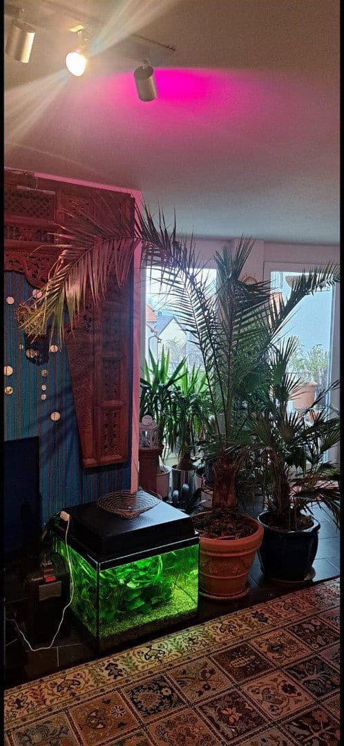 2 bedroom flat to rent, 59 m², Goezstraße 3, Stuttgart-Plieningen, Baden-Württemberg 2 bedroom flat to rent, 59 m², Goezstraße 3, Stuttgart-Plieningen, Baden-Württemberg