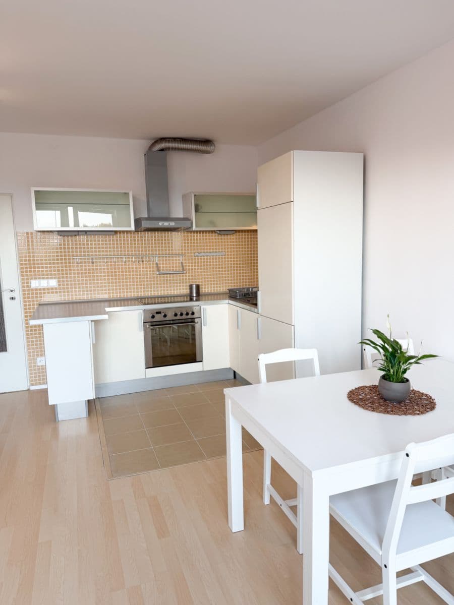 Studio flat to rent, 42 m², Novobohdalecká, Prague, Prague Studio flat to rent, 42 m², Novobohdalecká, Prague, Prague