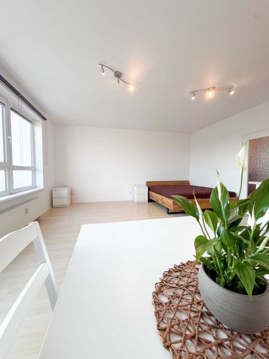 Studio flat to rent, 42 m², Novobohdalecká, Prague, Prague Studio flat to rent, 42 m², Novobohdalecká, Prague, Prague