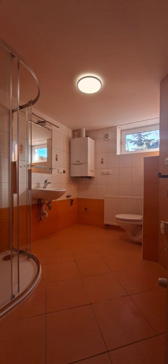 1 bedroom with open-plan kitchen flat to rent, 74 m², Sv. Čecha, Neratovice, Středočeský Region 1 bedroom with open-plan kitchen flat to rent, 74 m², Sv. Čecha, Neratovice, Středočeský Region