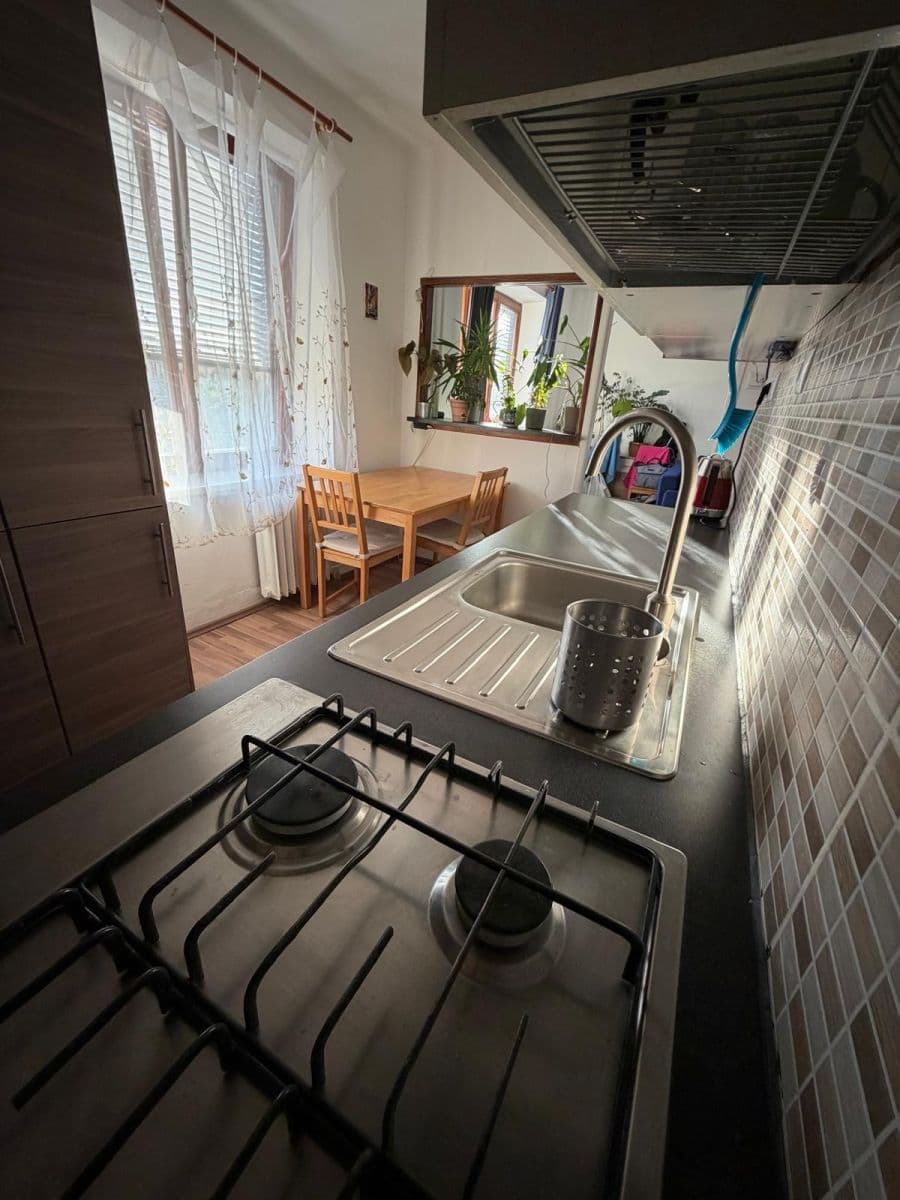 2 bedroom flat to rent, 53 m², Pod Lipami, Prague, Prague 2 bedroom flat to rent, 53 m², Pod Lipami, Prague, Prague