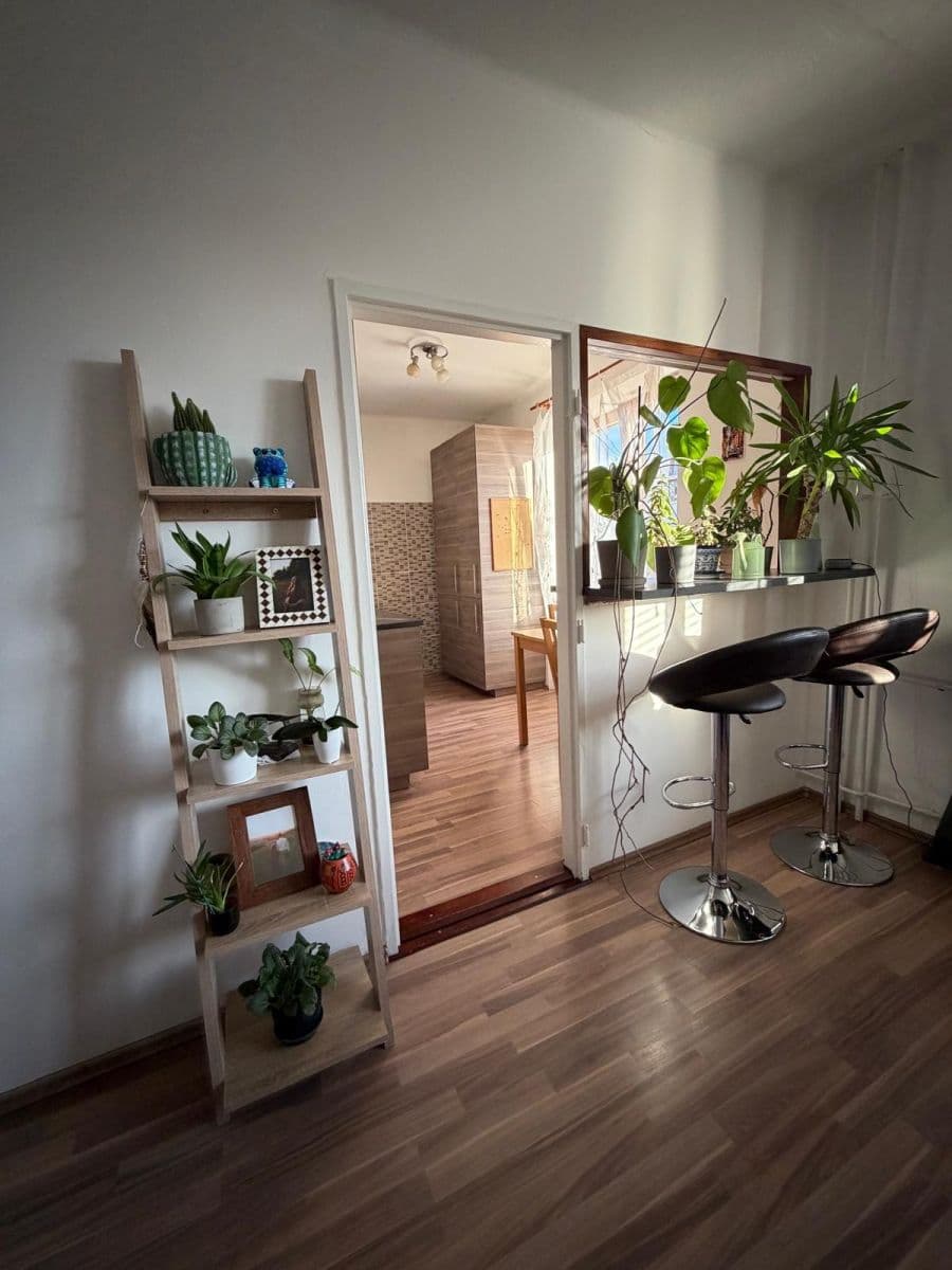 2 bedroom flat to rent, 53 m², Pod Lipami, Prague, Prague 2 bedroom flat to rent, 53 m², Pod Lipami, Prague, Prague