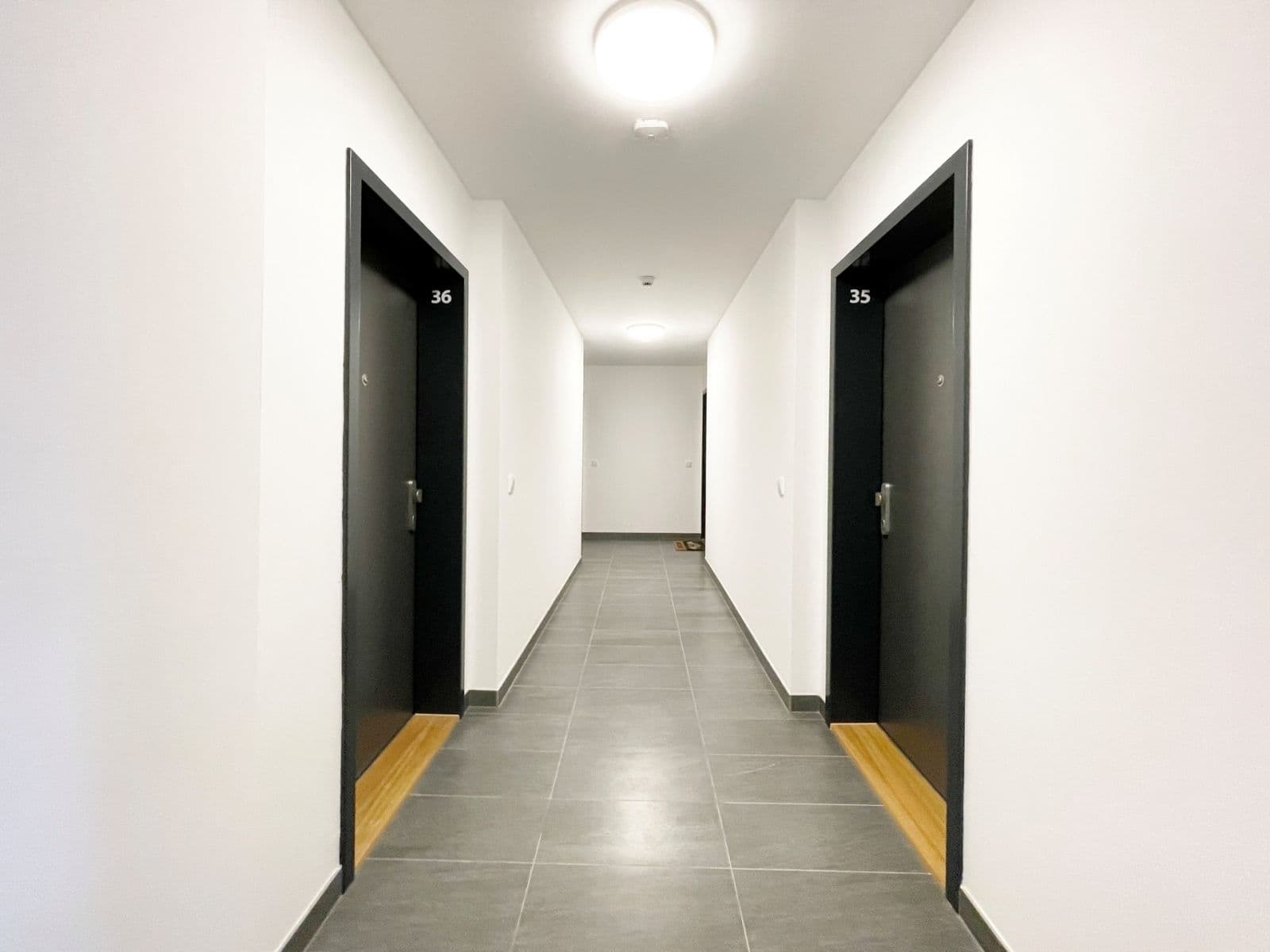 Studio flat to rent, 32 m², Olgy Havlové, Prague, Prague Studio flat to rent, 32 m², Olgy Havlové, Prague, Prague