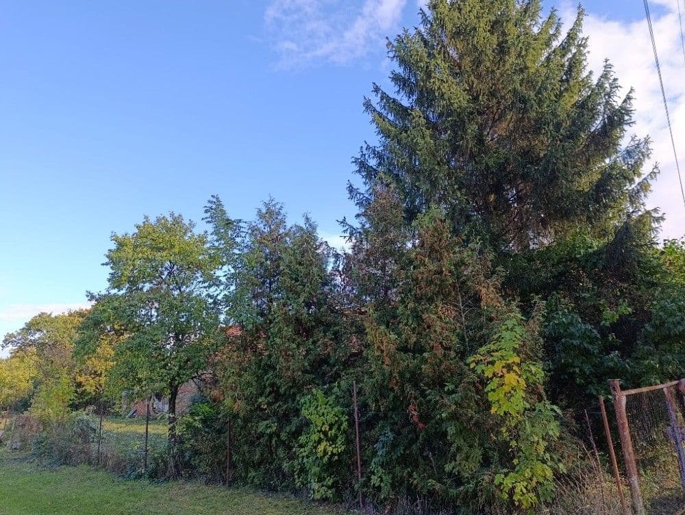 plot for sale, 1,232 m², Hluchov, Olomoucký Region plot for sale, 1,232 m², Hluchov, Olomoucký Region