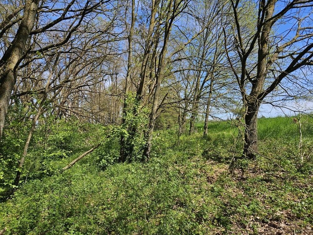 plot for sale, 4,330 m², Bischberg, Bavaria plot for sale, 4,330 m², Bischberg, Bavaria