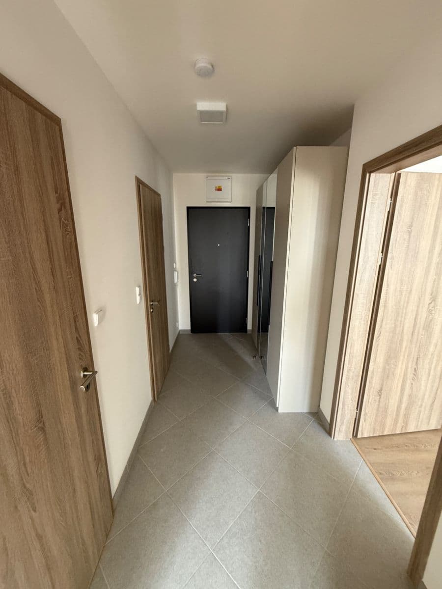 1 bedroom with open-plan kitchen flat to rent, 51 m², Gollové, Prague, Prague 1 bedroom with open-plan kitchen flat to rent, 51 m², Gollové, Prague, Prague