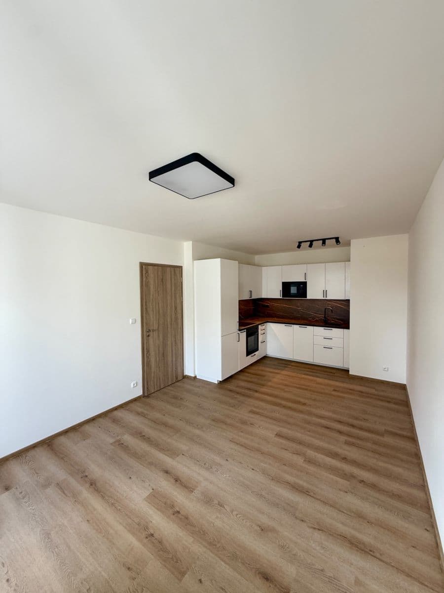 1 bedroom with open-plan kitchen flat to rent, 51 m², Gollové, Prague, Prague 1 bedroom with open-plan kitchen flat to rent, 51 m², Gollové, Prague, Prague