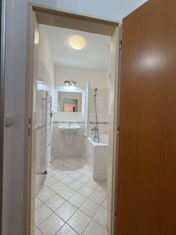 1 bedroom with open-plan kitchen flat to rent, 45 m², Ginzova, Prague, Prague 1 bedroom with open-plan kitchen flat to rent, 45 m², Ginzova, Prague, Prague
