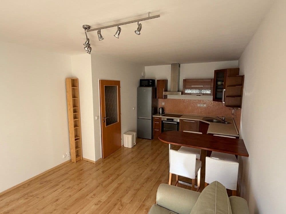 1 bedroom with open-plan kitchen flat to rent, 45 m², Ginzova, Prague, Prague 1 bedroom with open-plan kitchen flat to rent, 45 m², Ginzova, Prague, Prague