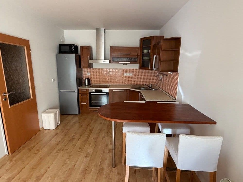 1 bedroom with open-plan kitchen flat to rent, 45 m², Ginzova, Prague, Prague 1 bedroom with open-plan kitchen flat to rent, 45 m², Ginzova, Prague, Prague