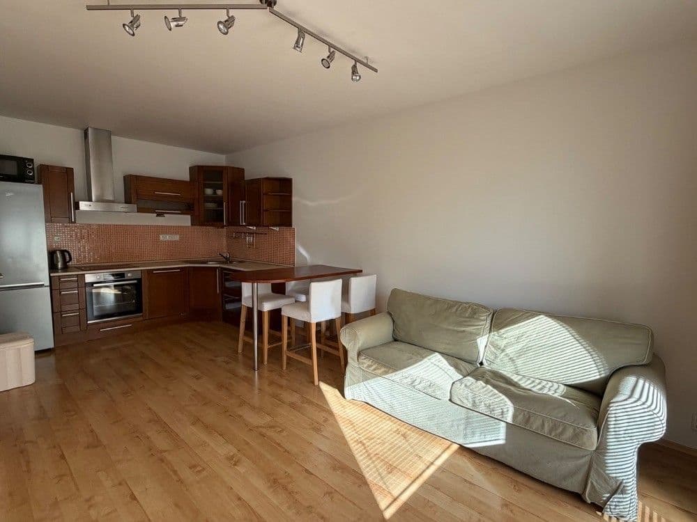 1 bedroom with open-plan kitchen flat to rent, 45 m², Ginzova, Prague, Prague 1 bedroom with open-plan kitchen flat to rent, 45 m², Ginzova, Prague, Prague