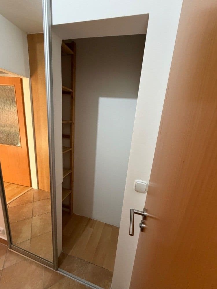 1 bedroom with open-plan kitchen flat to rent, 45 m², Ginzova, Prague, Prague 1 bedroom with open-plan kitchen flat to rent, 45 m², Ginzova, Prague, Prague