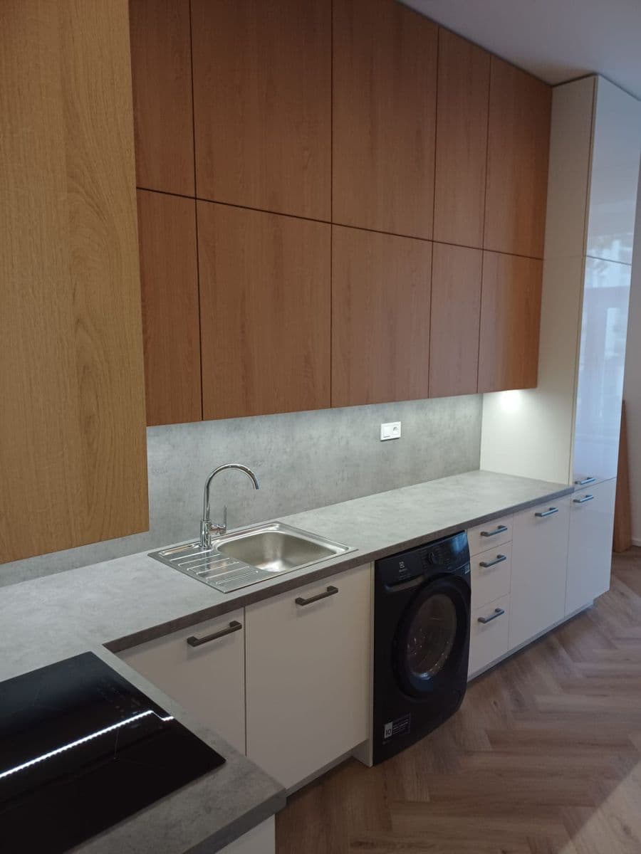 1 bedroom with open-plan kitchen flat to rent, 40 m², Bořivojova, Prague, Prague 1 bedroom with open-plan kitchen flat to rent, 40 m², Bořivojova, Prague, Prague
