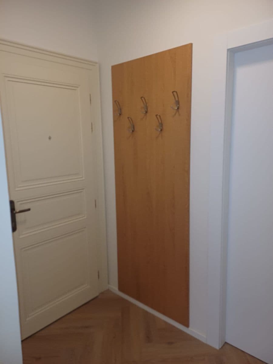 1 bedroom with open-plan kitchen flat to rent, 40 m², Bořivojova, Prague, Prague 1 bedroom with open-plan kitchen flat to rent, 40 m², Bořivojova, Prague, Prague