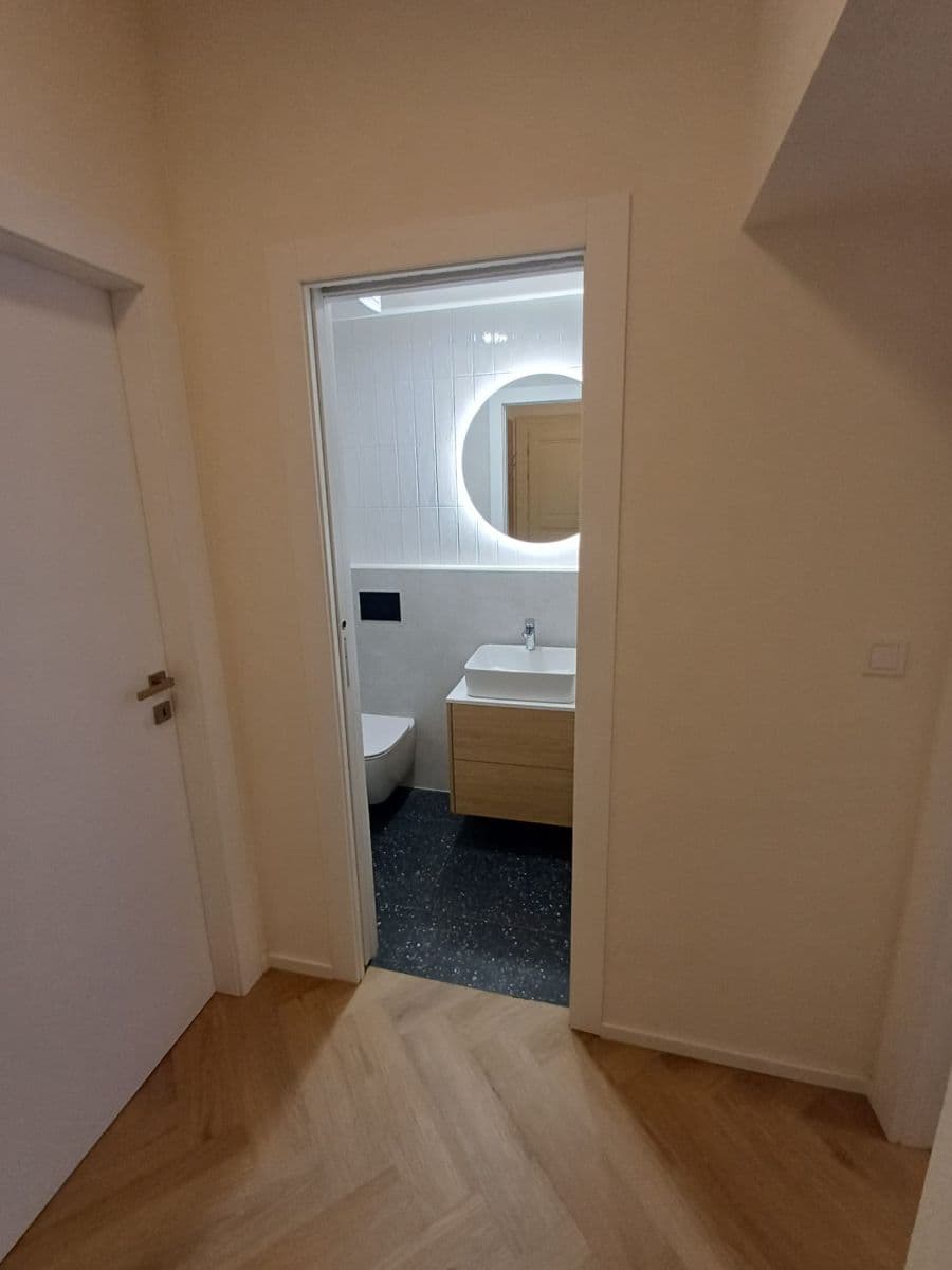 1 bedroom with open-plan kitchen flat to rent, 40 m², Bořivojova, Prague, Prague 1 bedroom with open-plan kitchen flat to rent, 40 m², Bořivojova, Prague, Prague