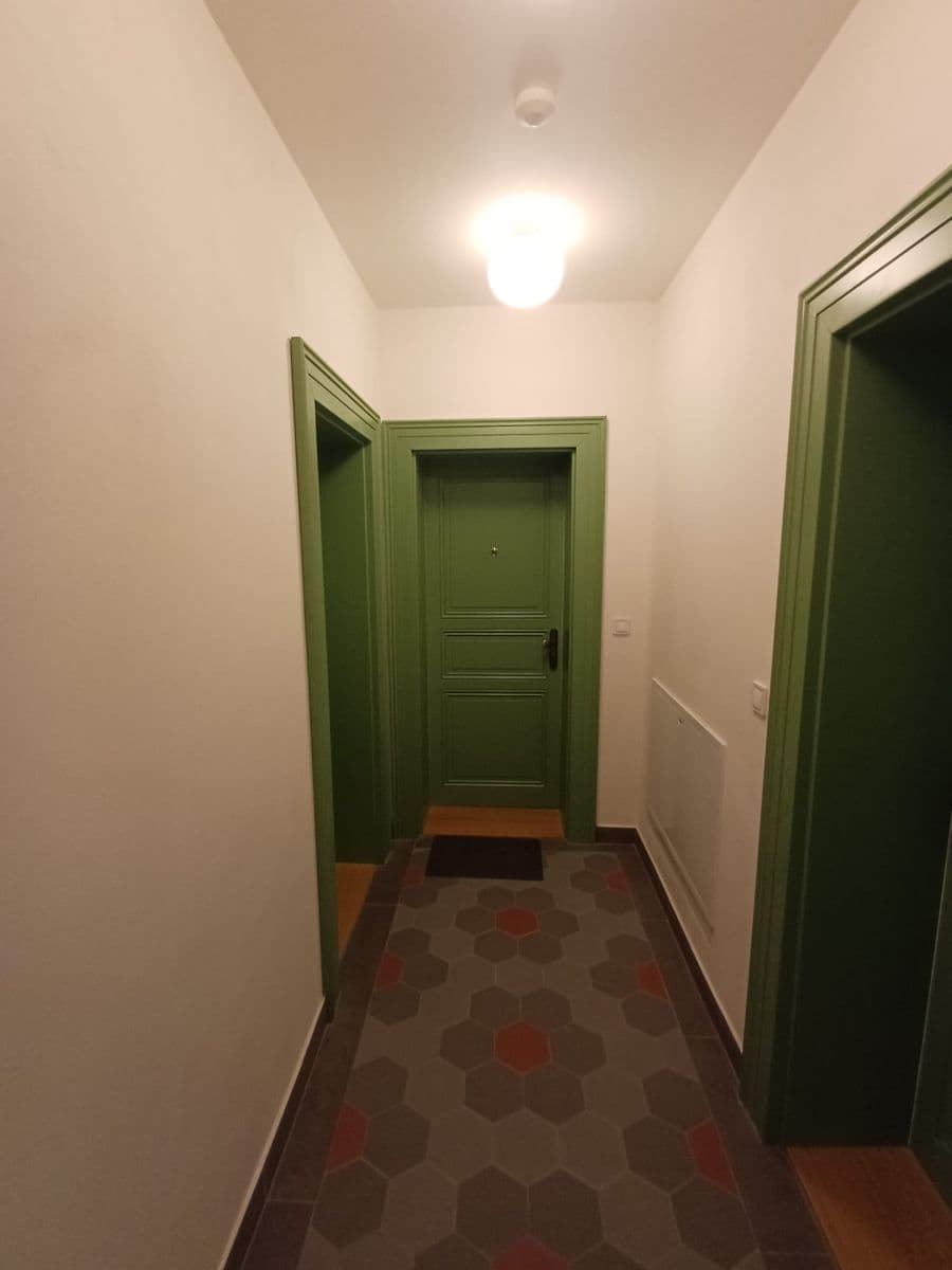 1 bedroom with open-plan kitchen flat to rent, 40 m², Bořivojova, Prague, Prague 1 bedroom with open-plan kitchen flat to rent, 40 m², Bořivojova, Prague, Prague
