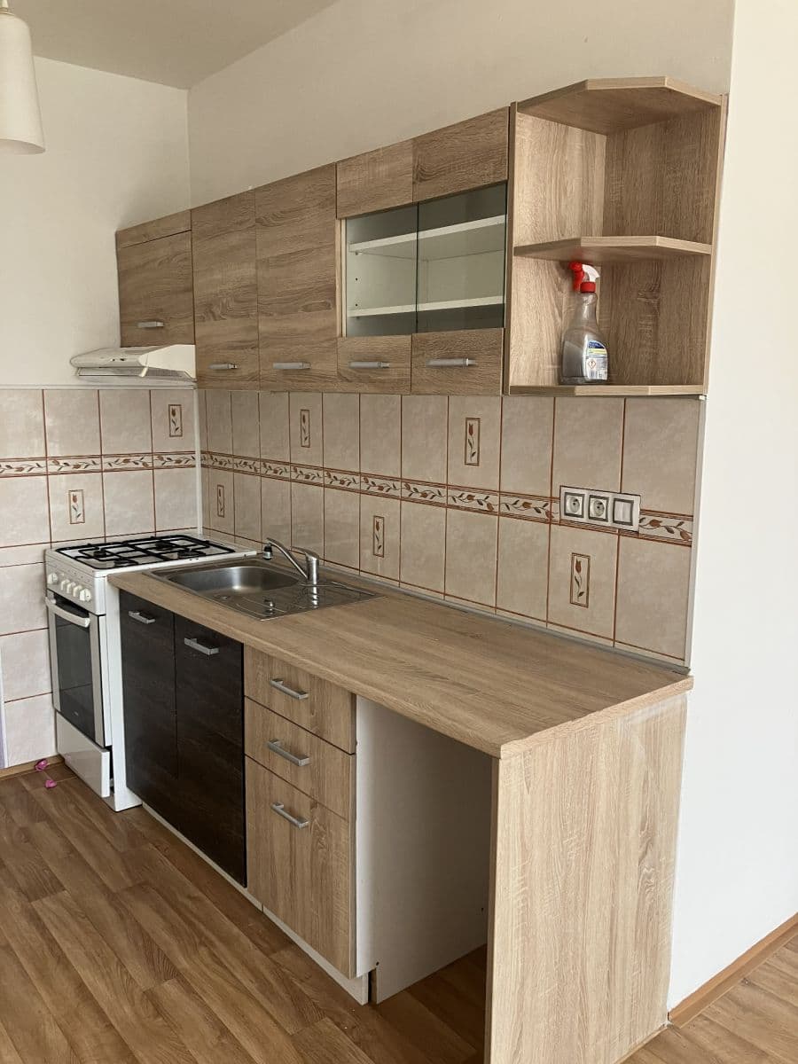 1 bedroom with open-plan kitchen flat to rent, 45 m², Bítovská, Prague, Prague 1 bedroom with open-plan kitchen flat to rent, 45 m², Bítovská, Prague, Prague