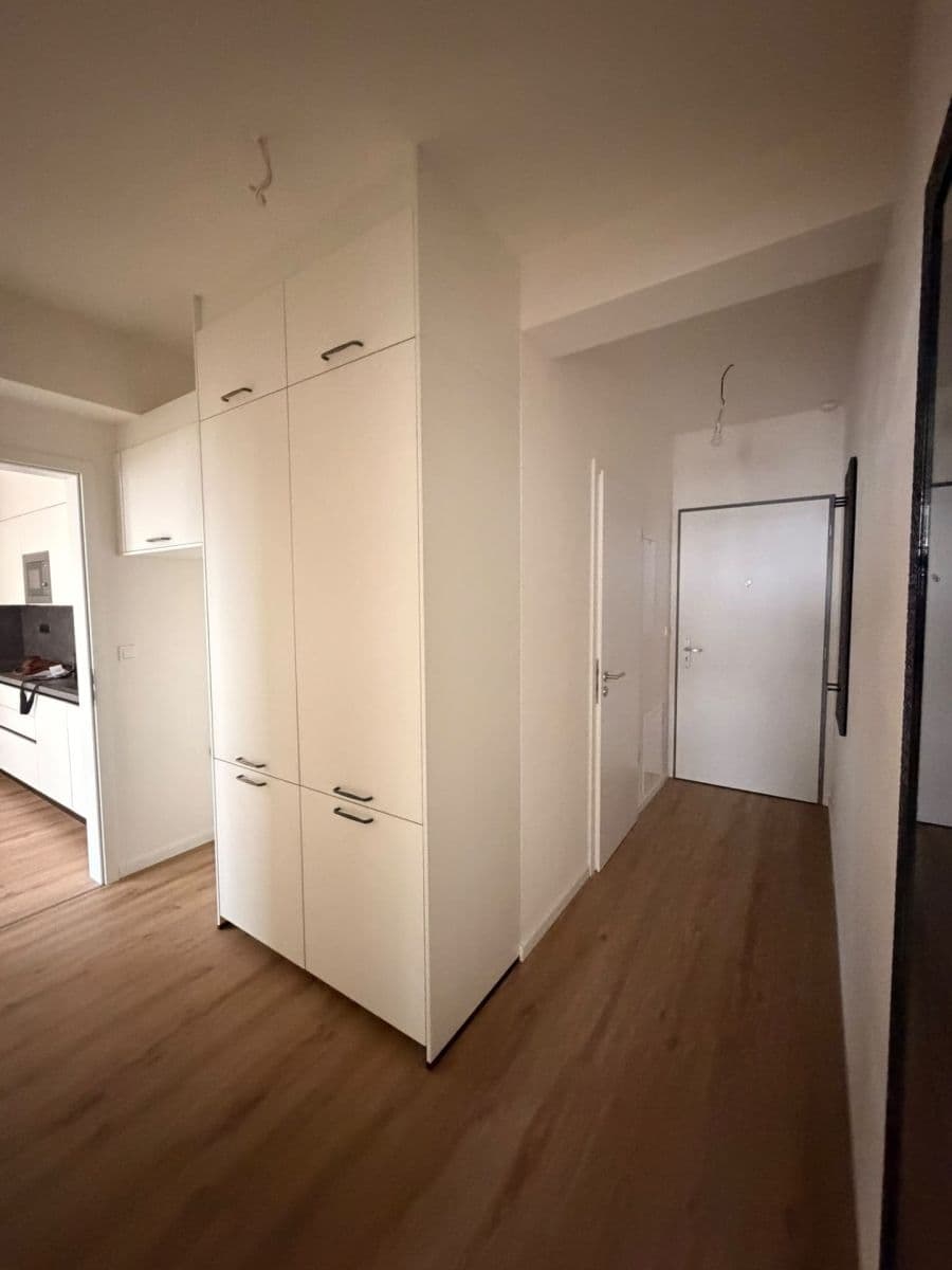 1 bedroom with open-plan kitchen flat to rent, 46 m², Generála Bočka, Prague, Prague 1 bedroom with open-plan kitchen flat to rent, 46 m², Generála Bočka, Prague, Prague