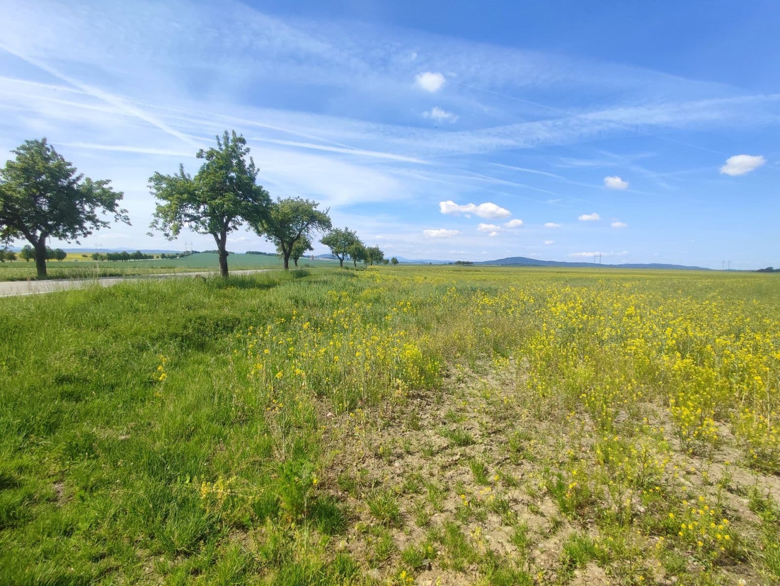 plot for sale, 9,000 m², Protivín, Jihočeský Region plot for sale, 9,000 m², Protivín, Jihočeský Region