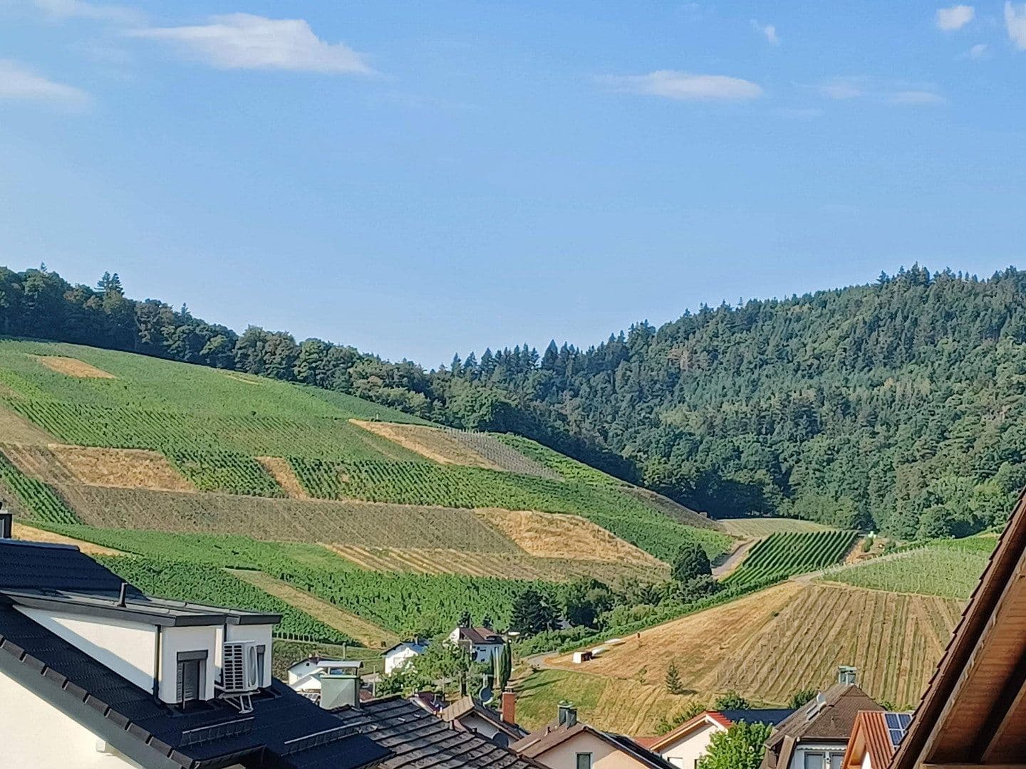 2 bedroom with open-plan kitchen flat to rent, 115 m², Baden-Baden - Neuweier, Baden-Württemberg 2 bedroom with open-plan kitchen flat to rent, 115 m², Baden-Baden - Neuweier, Baden-Württemberg