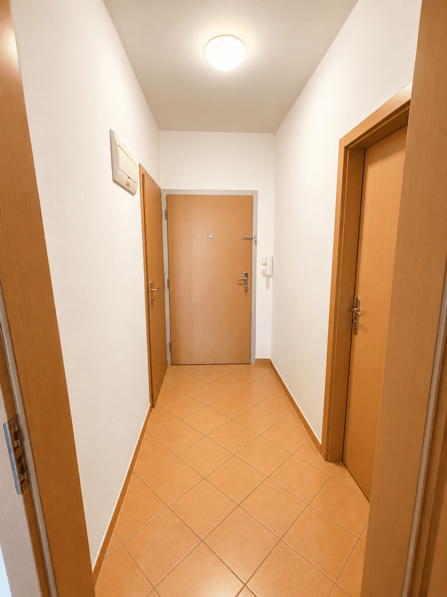 1 bedroom with open-plan kitchen flat to rent, 48 m², Berlínská, Prague, Prague 1 bedroom with open-plan kitchen flat to rent, 48 m², Berlínská, Prague, Prague