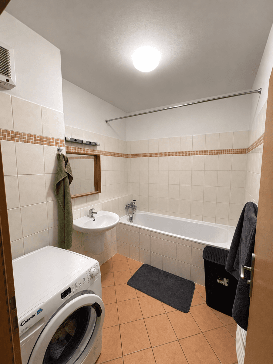 1 bedroom with open-plan kitchen flat to rent, 48 m², Berlínská, Prague, Prague 1 bedroom with open-plan kitchen flat to rent, 48 m², Berlínská, Prague, Prague