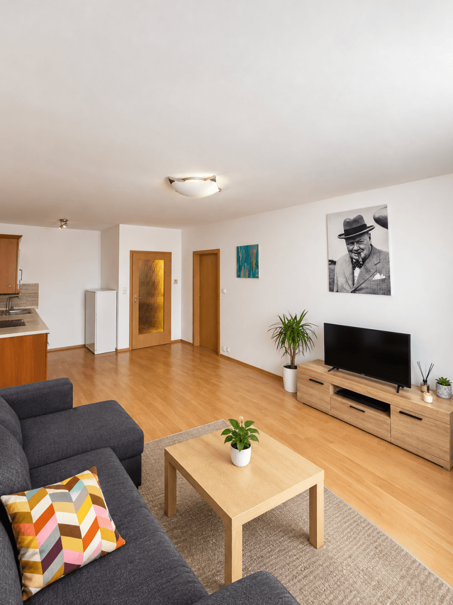 1 bedroom with open-plan kitchen flat to rent, 48 m², Berlínská, Prague, Prague 1 bedroom with open-plan kitchen flat to rent, 48 m², Berlínská, Prague, Prague